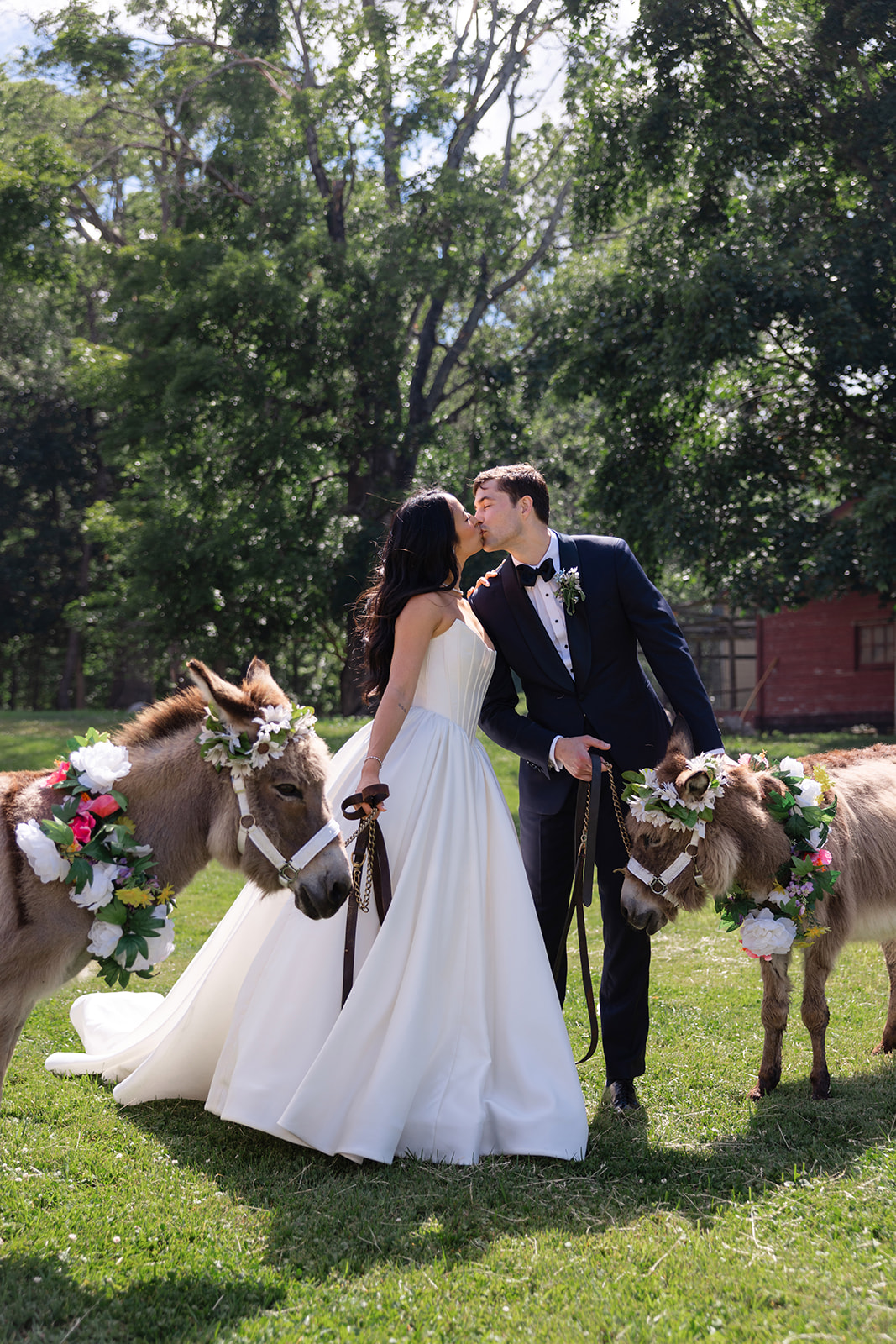 Bride and groom share a kiss while posing with two flower-crowned donkeys at La Luna Farm in New Paltz, New York, during their outdoor wedding celebration.